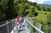 160703_LUPI_CampoLeontica_062.jpg