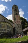 160703_LUPI_CampoLeontica_064.jpg