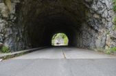 160703_LUPI_CampoLeontica_108.jpg