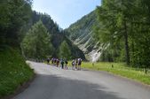 160703_LUPI_CampoLeontica_109.jpg
