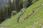 160703_LUPI_CampoLeontica_123.jpg