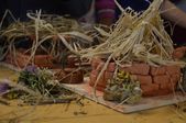 160703_LUPI_CampoLeontica_138.jpg