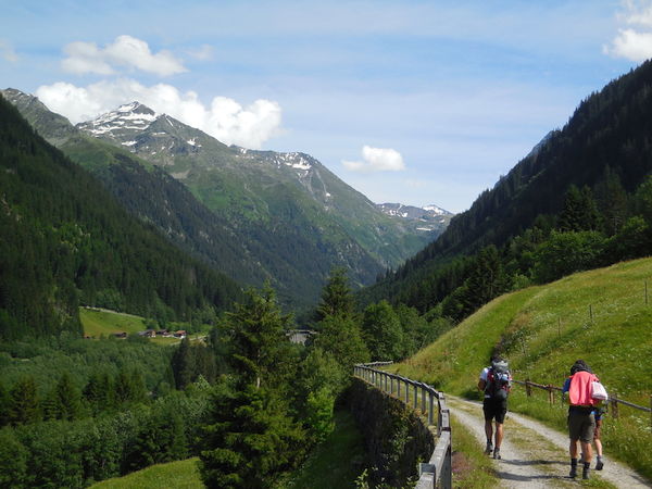 Clicca per vedere l'immagine alla massima grandezza