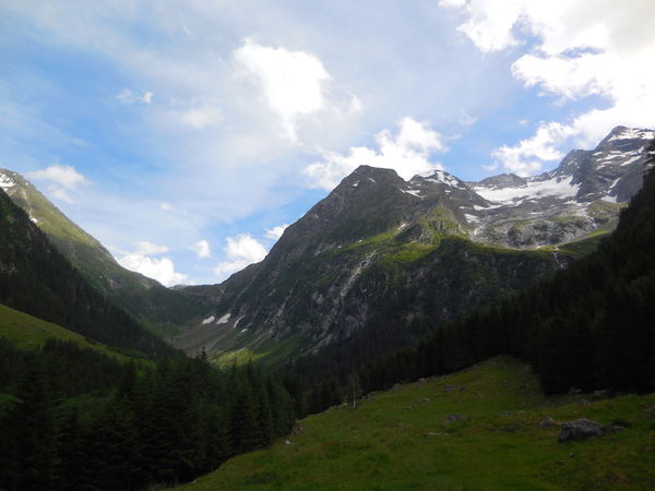 Clicca per vedere l'immagine alla massima grandezza