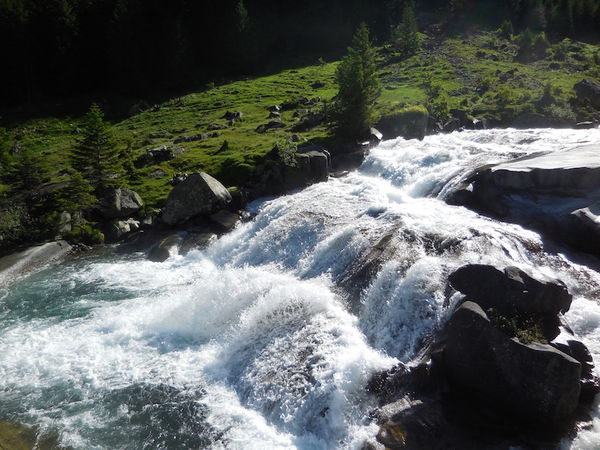 Clicca per vedere l'immagine alla massima grandezza
