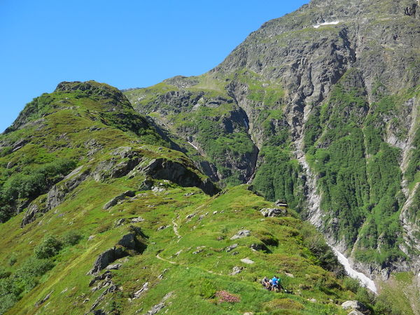 Clicca per vedere l'immagine alla massima grandezza