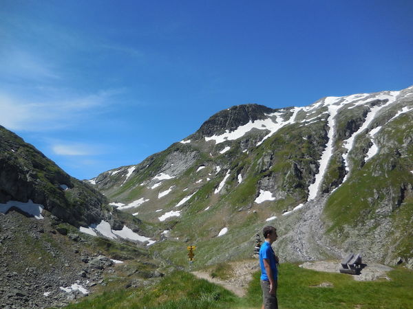 Clicca per vedere l'immagine alla massima grandezza