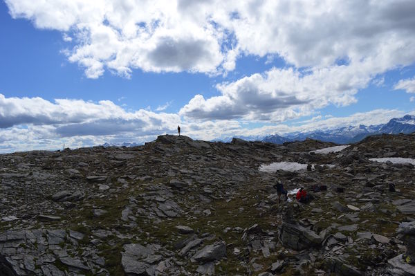 Clicca per vedere l'immagine alla massima grandezza