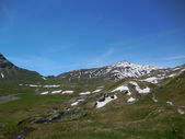 160703_PIO_CampeggioEstivo_029.jpg