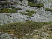 160703_PIO_CampeggioEstivo_030.jpg