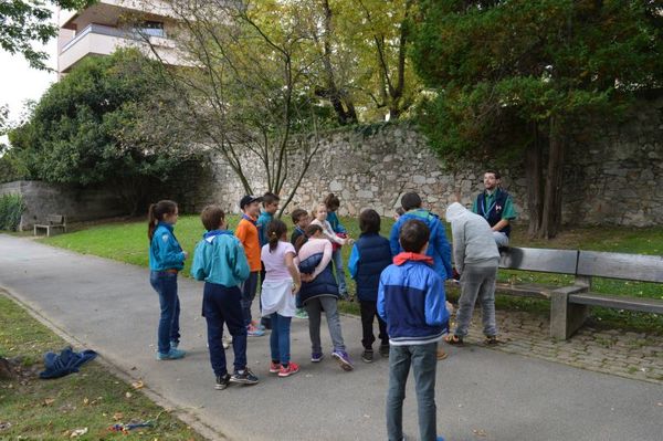 Clicca per vedere l'immagine alla massima grandezza