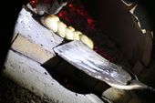 161023_PIO_UscitaPostoMontascio_054.JPG