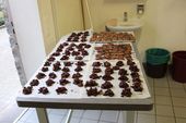 161203_PIO_Biscotti_023.JPG