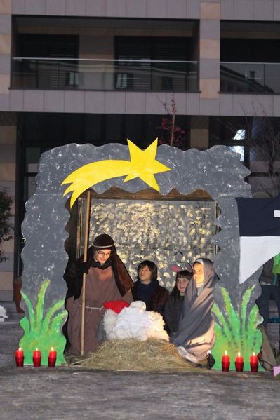 Clicca per vedere l'immagine alla massima grandezza