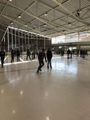 170121_LUPI_Pattinaggio_024.jpg