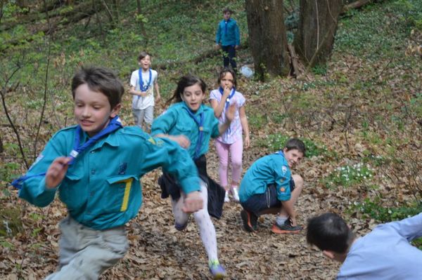Clicca per vedere l'immagine alla massima grandezza