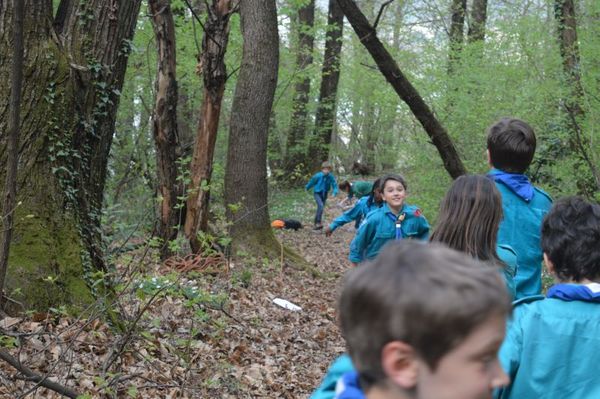 Clicca per vedere l'immagine alla massima grandezza
