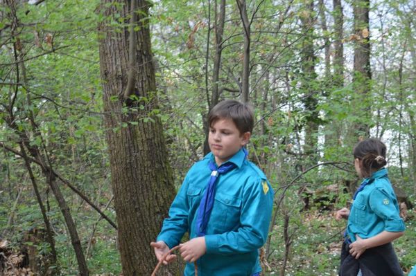 Clicca per vedere l'immagine alla massima grandezza