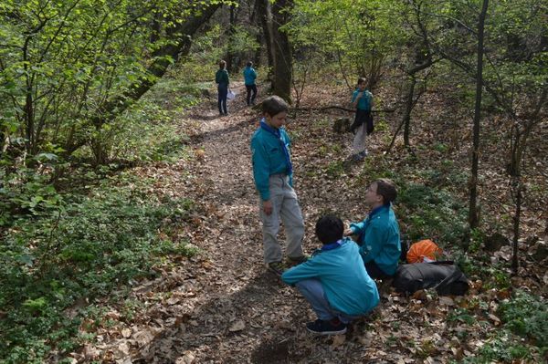 Clicca per vedere l'immagine alla massima grandezza