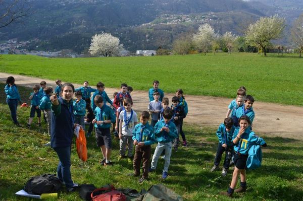 Clicca per vedere l'immagine alla massima grandezza
