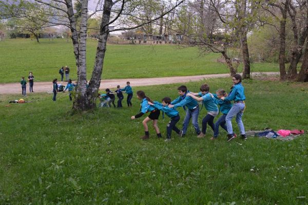Clicca per vedere l'immagine alla massima grandezza