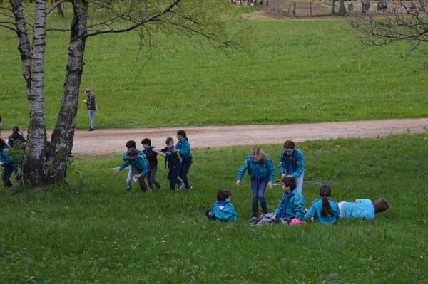 Clicca per vedere l'immagine alla massima grandezza