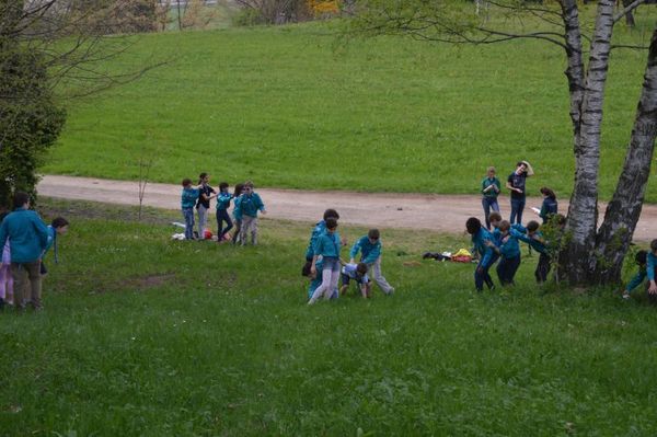 Clicca per vedere l'immagine alla massima grandezza
