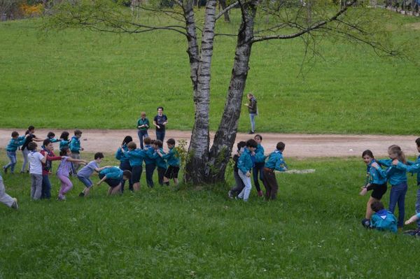 Clicca per vedere l'immagine alla massima grandezza