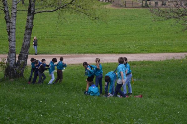 Clicca per vedere l'immagine alla massima grandezza