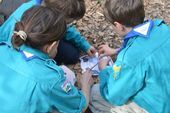 170401_LUPI_GiochiNelBosco_034.jpg