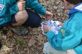 170401_LUPI_GiochiNelBosco_035.jpg