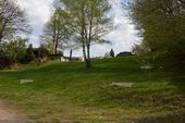 170401_LUPI_GiochiNelBosco_039.jpg