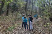 170401_LUPI_GiochiNelBosco_046.jpg