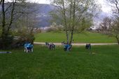 170401_LUPI_GiochiNelBosco_059.jpg