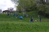 170401_LUPI_GiochiNelBosco_070.jpg