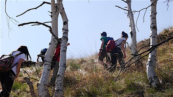 Clicca per vedere l'immagine alla massima grandezza