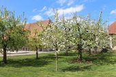 170417_PIO_CampoPasquale_020.JPG
