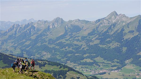 Clicca per vedere l'immagine alla massima grandezza