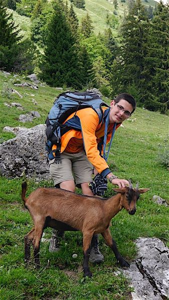 Clicca per vedere l'immagine alla massima grandezza