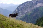 170702_ESPLO_Campeggio088.jpg