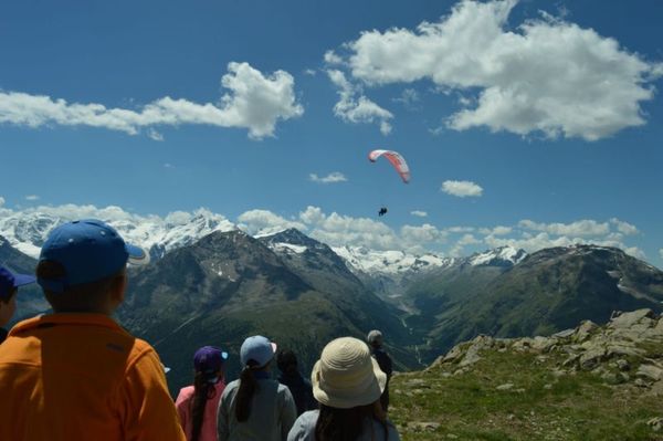 Clicca per vedere l'immagine alla massima grandezza