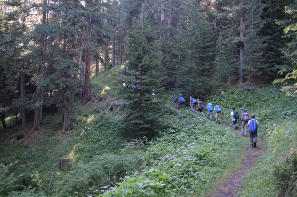 Clicca per vedere l'immagine alla massima grandezza