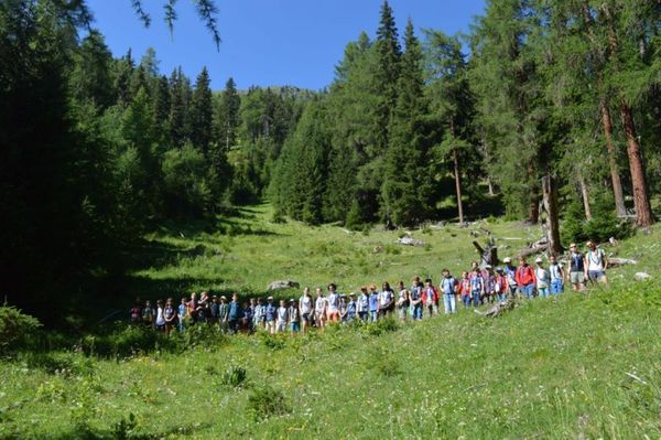Clicca per vedere l'immagine alla massima grandezza