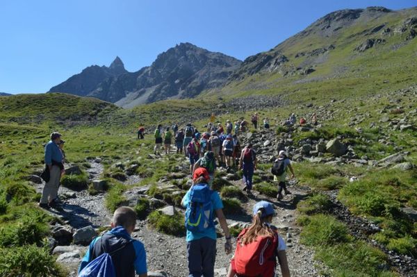 Clicca per vedere l'immagine alla massima grandezza