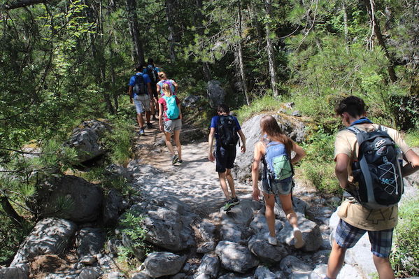 Clicca per vedere l'immagine alla massima grandezza