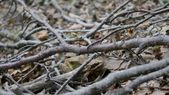 170923_ESPLO_PasseggiataApertura_015.jpg