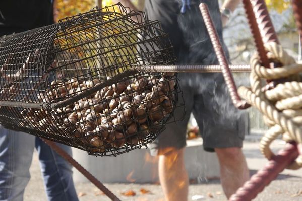 Clicca per vedere l'immagine alla massima grandezza
