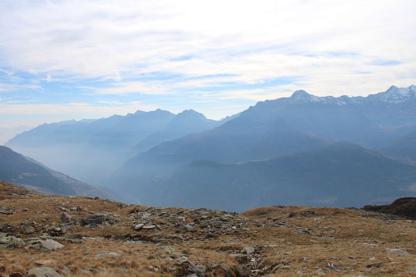 Clicca per vedere l'immagine alla massima grandezza