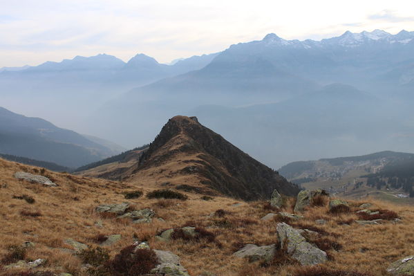 Clicca per vedere l'immagine alla massima grandezza