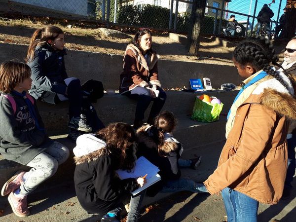 Clicca per vedere l'immagine alla massima grandezza